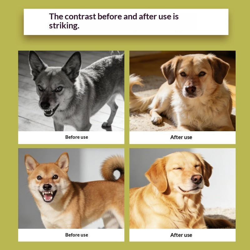 Pet Calming Diffuser Soothing Kit Gentle Reassurance Secondary image