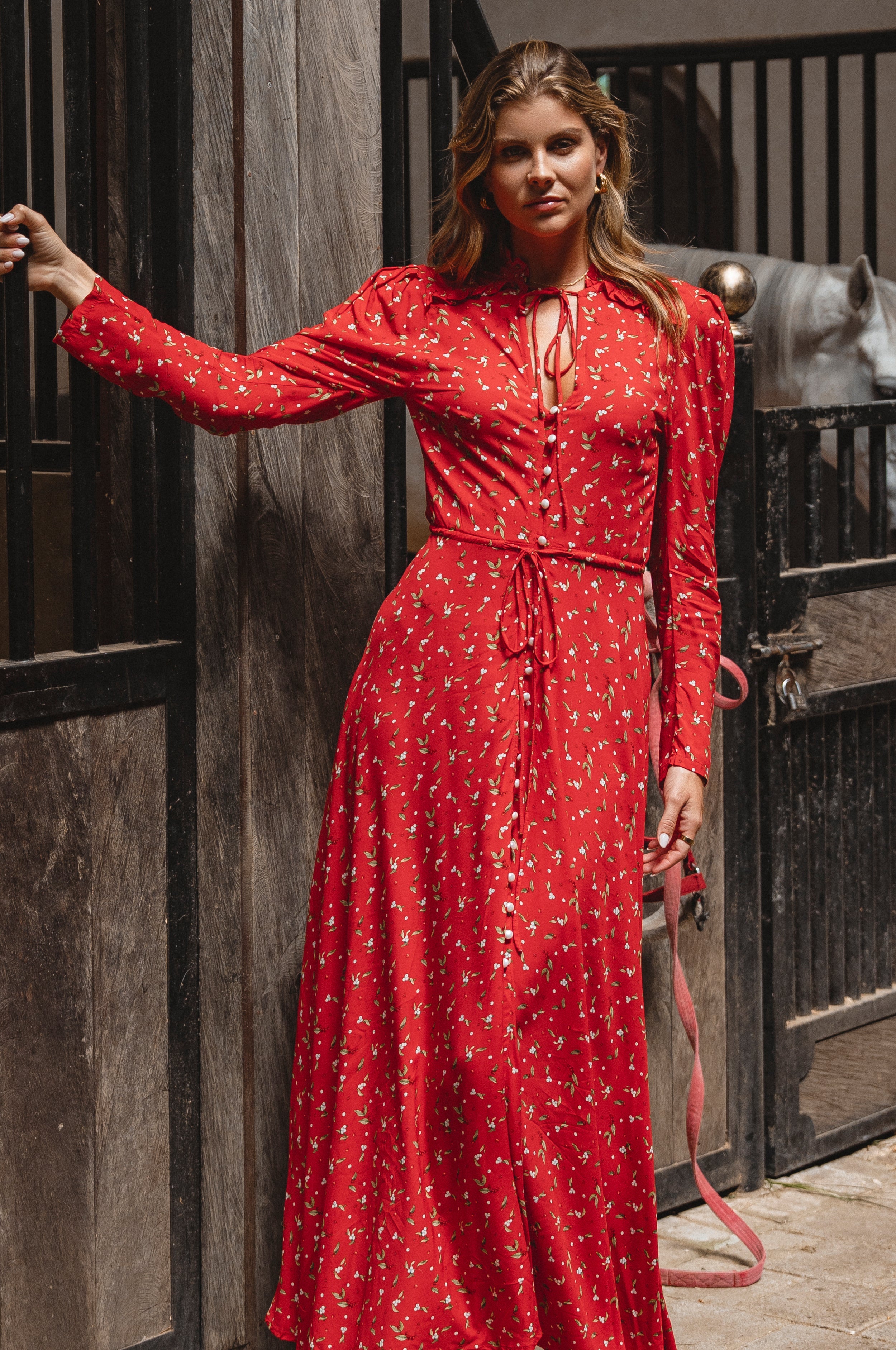 Poeme Long Sleeve Maxi Dress Secondary image